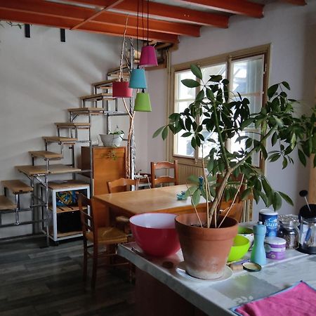 Chambres Des Aubepines - Zenith Orléans Eksteriør bilde